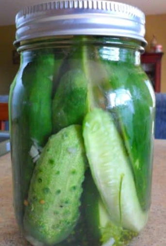 Refrigerator Dill Pickles Mix
