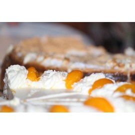 Sugar Free Peaches and Cream Pie